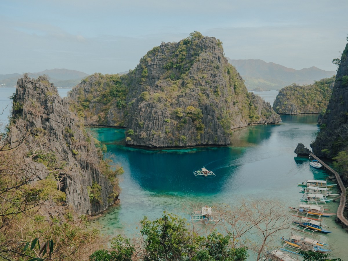 Nager avec des requins baleines à Oslob : la fausse bonne&nbsp;idée