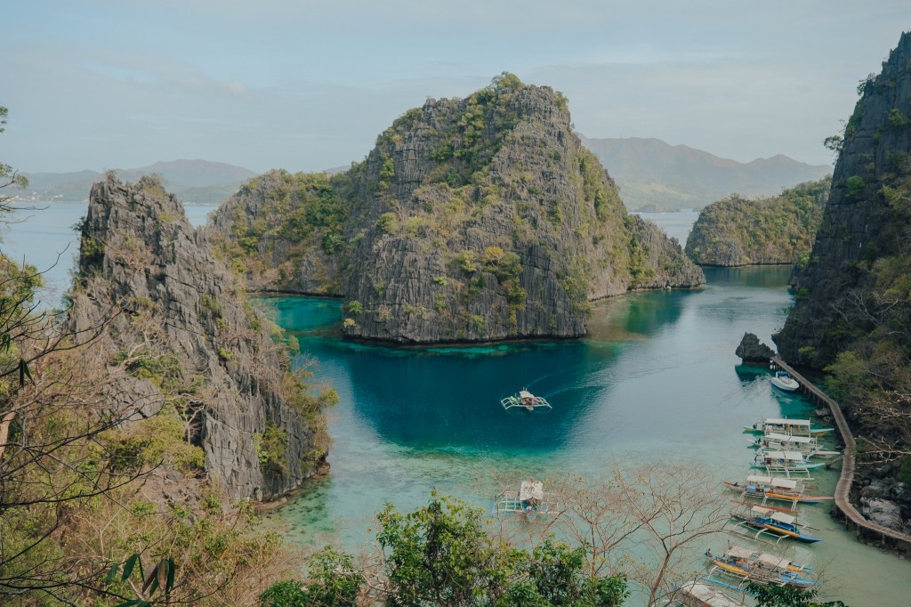 Nager avec des requins baleines à Oslob : la fausse bonne&nbsp;idée
