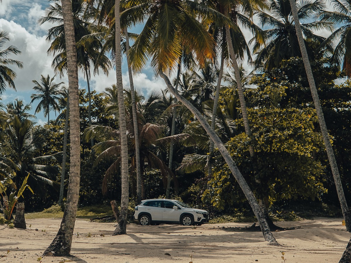 Guide complet pour conduire en République dominicaine sans&nbsp;stress