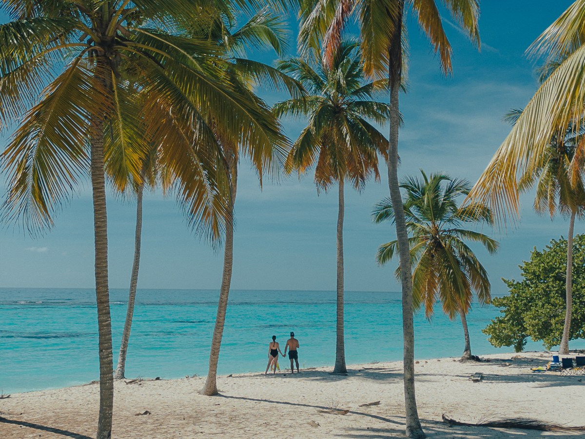 Trois jours, deux nuits sur l&rsquo;île de Saona : Notre séjour loin des excursions de masse en République&nbsp;Dominicaine